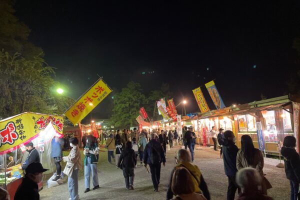 Snow Monkey & Cherry Blossom Illumination Tour - Image 4